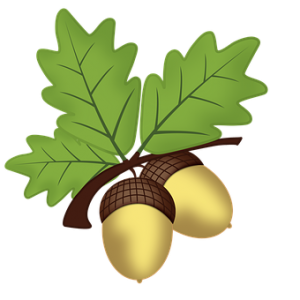 Acorn PNG image-37014